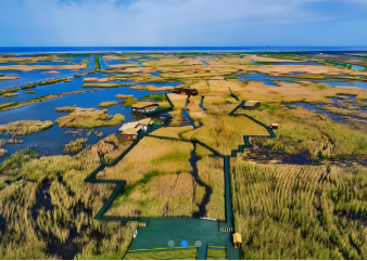 16+6，“走进申海”带你逛遍魔都海岸线