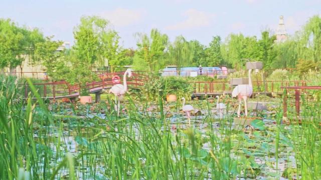 上海这个绝美城堡花园，免门票了！