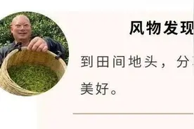 一个教授，为啥要做茶？用名誉背书，他为何胆这么大？图片