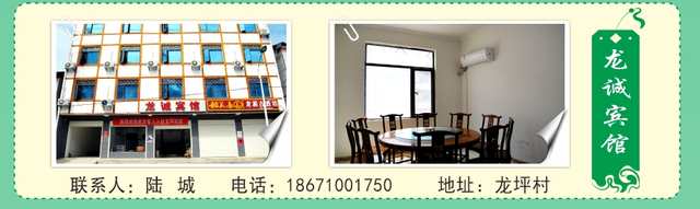 避暑胜地·清凉龙坪 |民宿里的悠然时光！