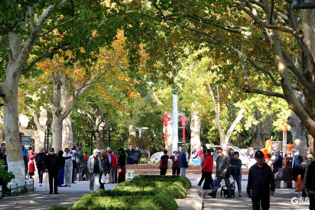 秋日海泊河公园：不必远寻，这里就有“推窗见绿、出门入园”休闲生活