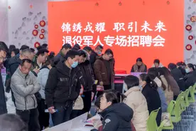 张家港市冶金工业园（锦丰镇）举办“锦绣戎耀 职引未来”退役军人专场招聘会图片