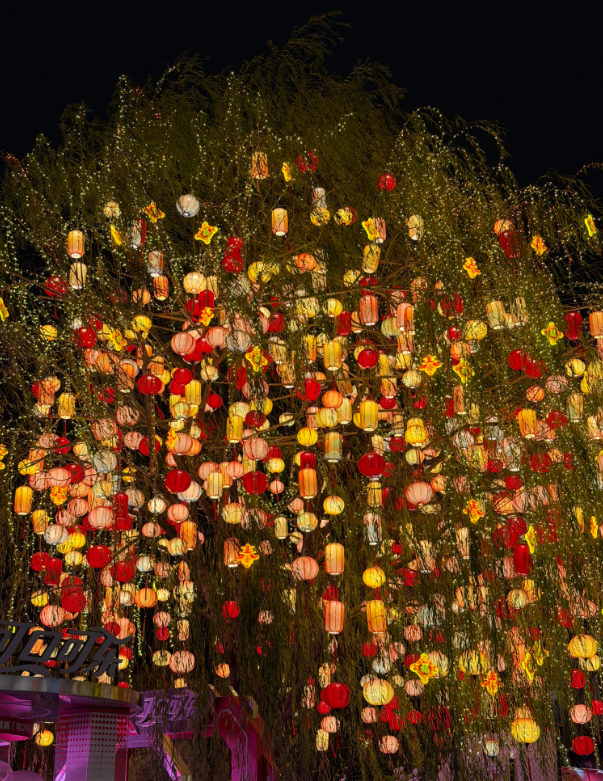 不止“出圈”更要“长红”，老门东炼就“青春引力场”