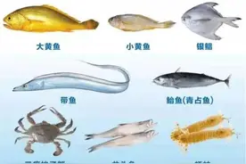 今起至8月1日，浙江禁售8种海鲜图片