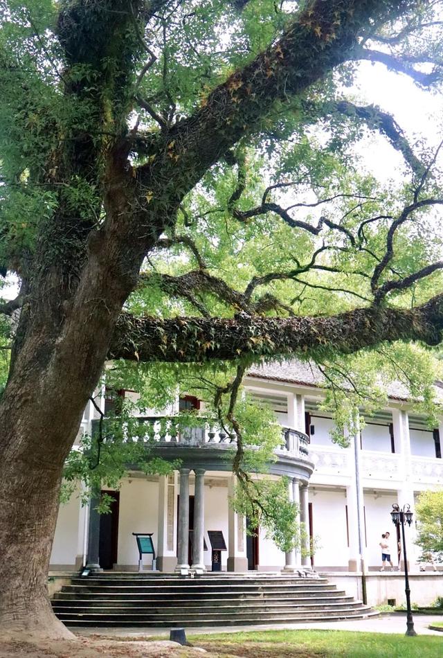 国庆去哪儿玩？到奉化旅游请这样发，让你称霸朋友圈！