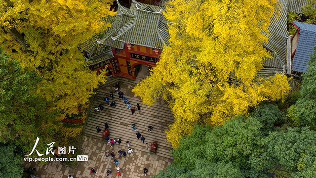 四川都江堰：青城山景区秋色美如画
