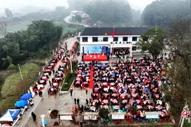 多彩年俗闹新春|杀年猪吃刨汤 家家户户来帮忙图片