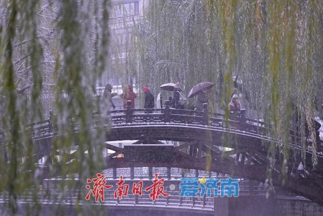 一年四季 泉在济南丨雪润泉城 护城河上演冬日仙境