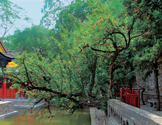 “大美故乡”第11站丨陕西西安