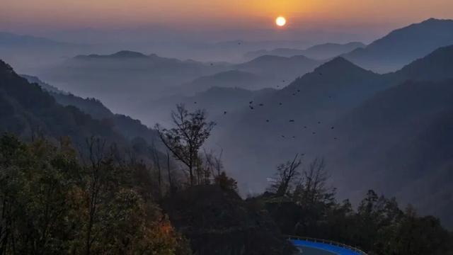 出色！洛阳这些最美场景等你解锁