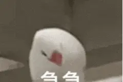 三岁孩童玩剪刀不慎剪断手指！危急时刻……图片