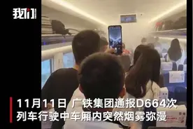 列车行驶中突发火警！你的充电宝安全吗？图片