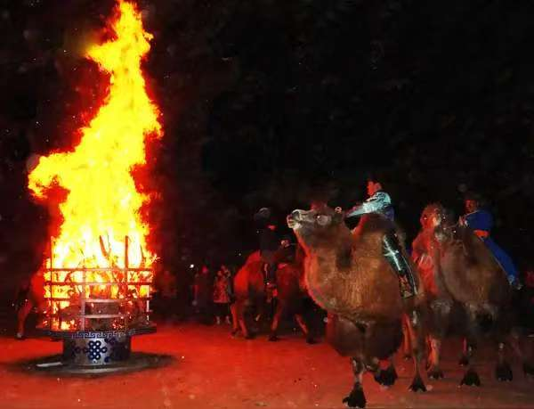 阿拉善驼队来绍兴了