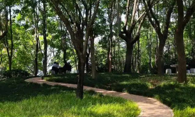 郑州气温持续回升！晒太阳的好去处推荐