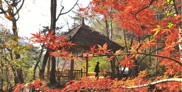 上周的湖北，超级美味！