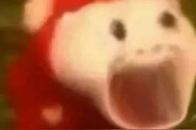 夏天被树上的水滴到？注意了：可能是Ta的“尿”！喷射速度惊人→图片