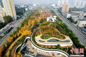 西安幸福林带五彩斑斓图片