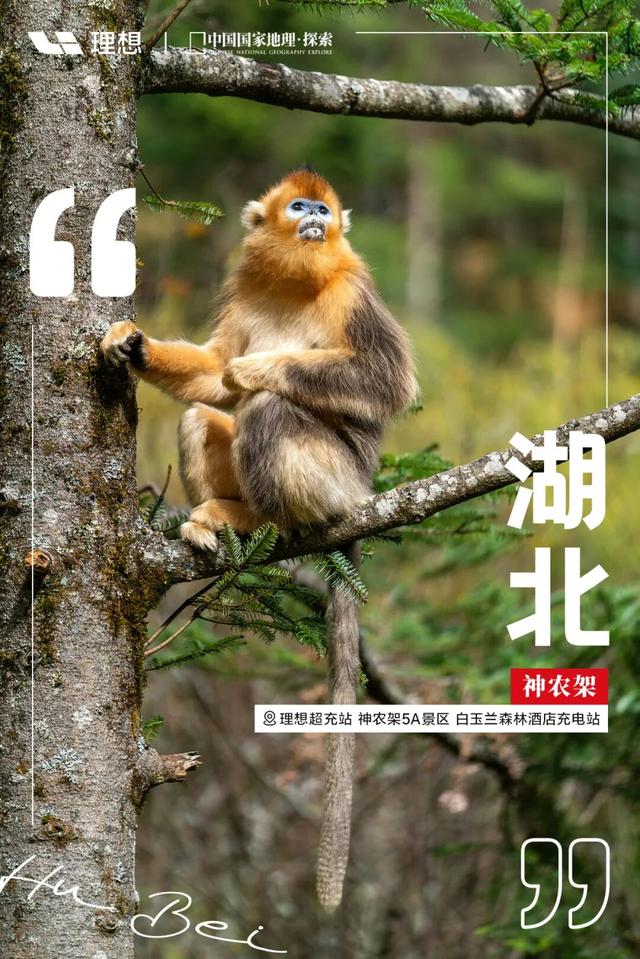 是时候，解锁新地图了！