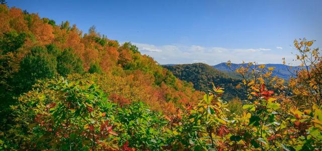 藏不住啦！延边这些“顶流”都是秋色巅峰