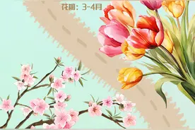 春上山东·河口篇丨春光正好！河口踏青打卡地正式上线啦！图片