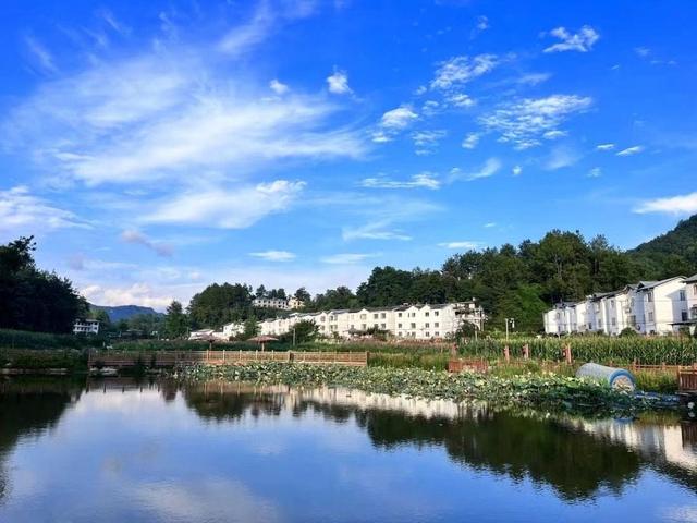 从 “深闺凉乡” 到 “避暑网红” 万州恒合乡月迎10余万人次避暑客