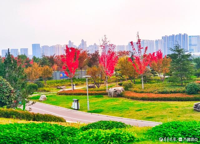 沂河岸边秋景美，抬眸尽是好风光