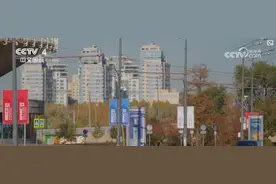 从“金砖四国”到“金砖十国” 为什么“金砖”越来越受欢迎？图片