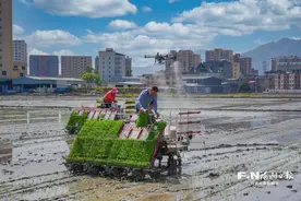 福州春耕预计投入近万台农机具图片