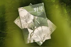 《野草：野性之美》引进出版：讲述植物世界里无名英雄的故事图片