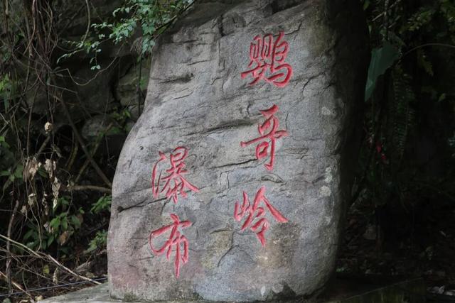 图观白沙 | 跟着赛事游白沙——白沙：自驾雨林公路，解锁国庆“森”呼吸