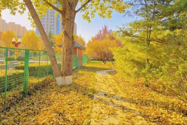 曲沃的冬天不可辜负