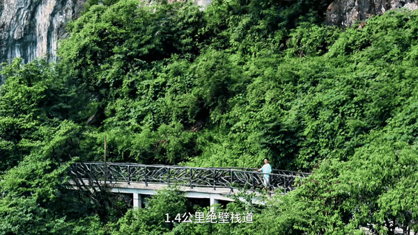 封神！跟着【百万级博主】游瓦屋！博主、达人享景区超值福利！