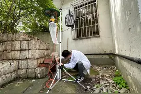 天气热了，蚊虫都藏在哪里你知道吗？图片