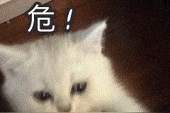 老人不慎掉入水渠！关键时刻，两名“50+”老民警……图片