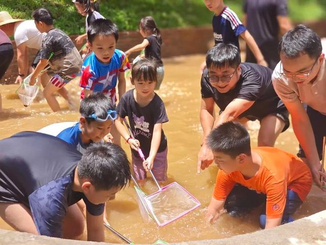 视觉增城｜亲水清凉游升级 暑期“水经济”活力迸发
