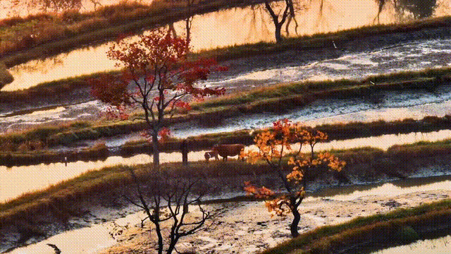 就在今晚！与江西相约在诗意的初冬