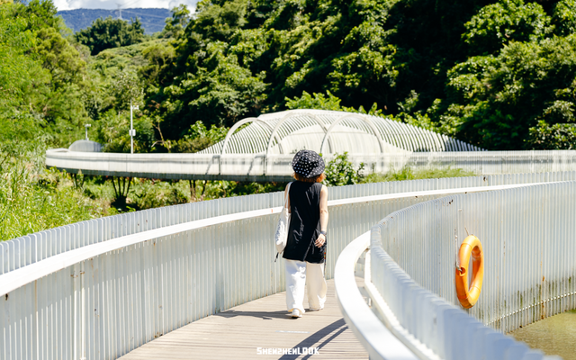 深圳湾的夜景再次升级 · 周末游玩指南