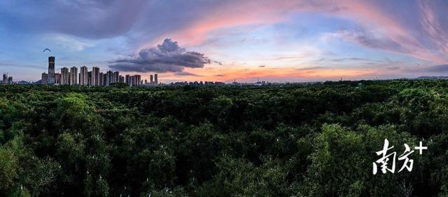 以水“润”城！顺德带来最动人的“水幸福”