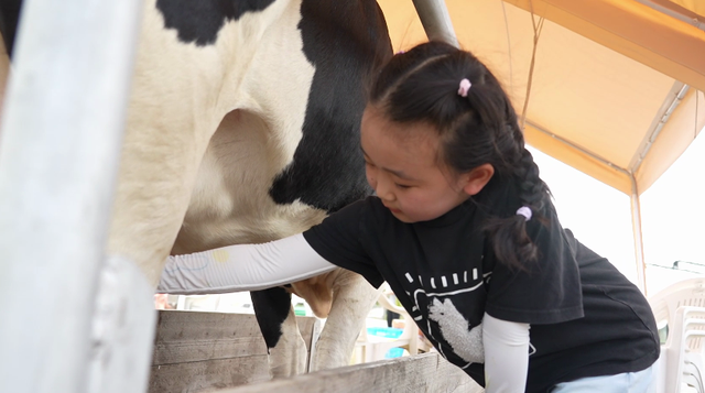 挤牛奶、挖红薯、做月饼……假期来这里，体验田园生活