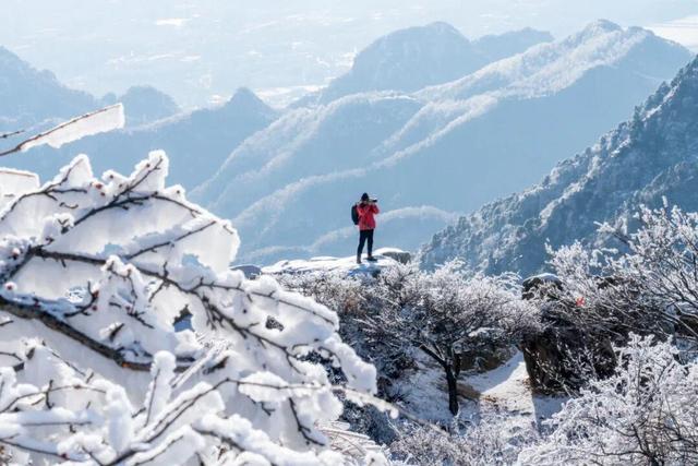岱宗披霜缟 冰韵醉人间