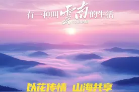 最炫云南风吹到了上海长三角文博会 新亮点速览→图片