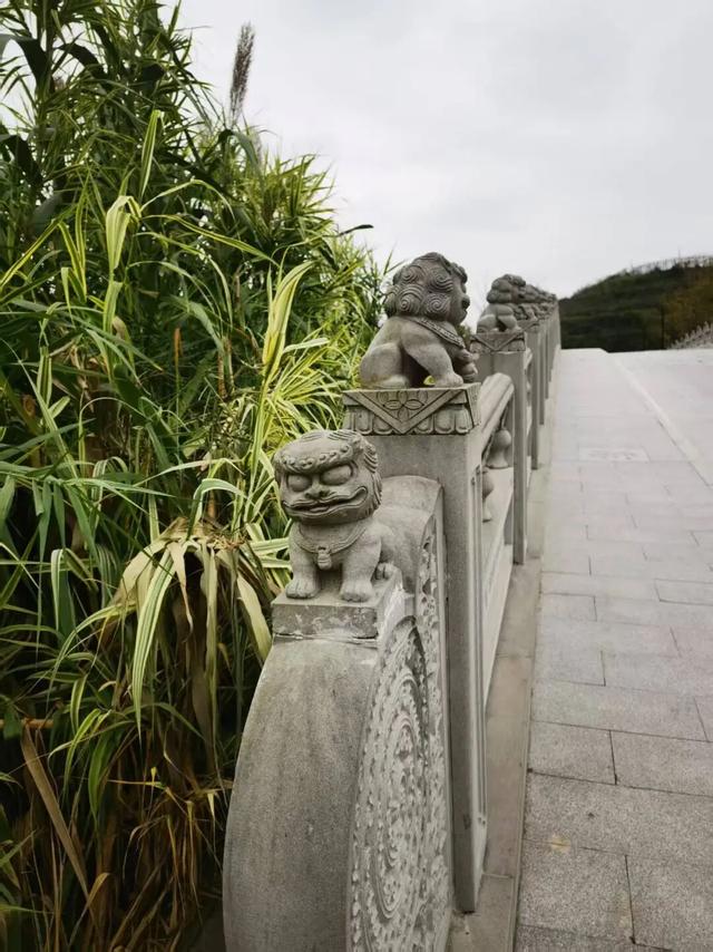 坐标简阳，361岁古桥，202岁石狮，与2分钟起落的飞机