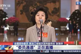 “尔滨”副市长在人民大会堂揭秘冰雪热背后的“流量密码”图片