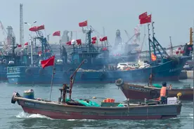 果然视频|黄渤海海域开海！烟台渔民激动地连说三个心情“挺好”图片