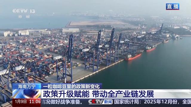 “十五五”开好局 起好步丨“咖啡+”文化体验地 从一粒咖啡豆看政策新变化