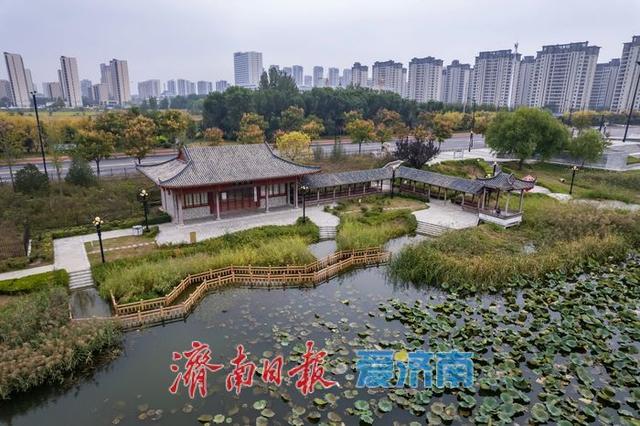 一年四季 泉在济南丨秋色入画！齐河大清河公园美成诗意画卷