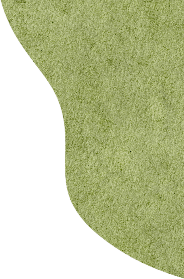 【遂川乡村游】“不去衙前看猛楠，游遍遂川也枉然”附新江古树秘境