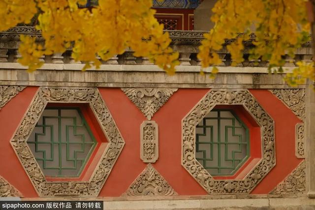 快来看！建筑配上秋叶绝美