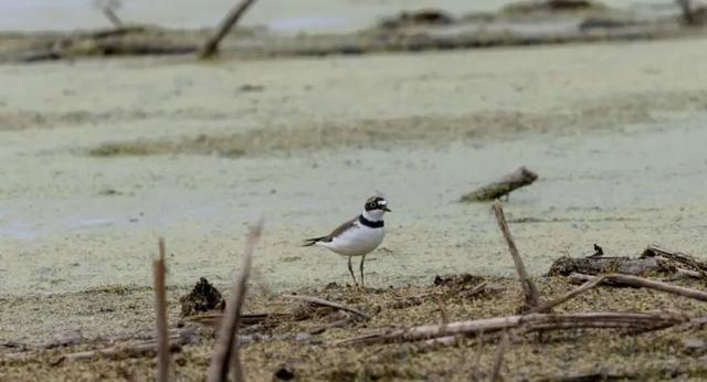 无锡最新追“星”指南，速收藏！