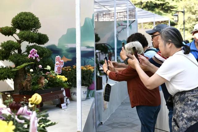 京津冀豫四地菊花联展，10月底北海公园启幕！